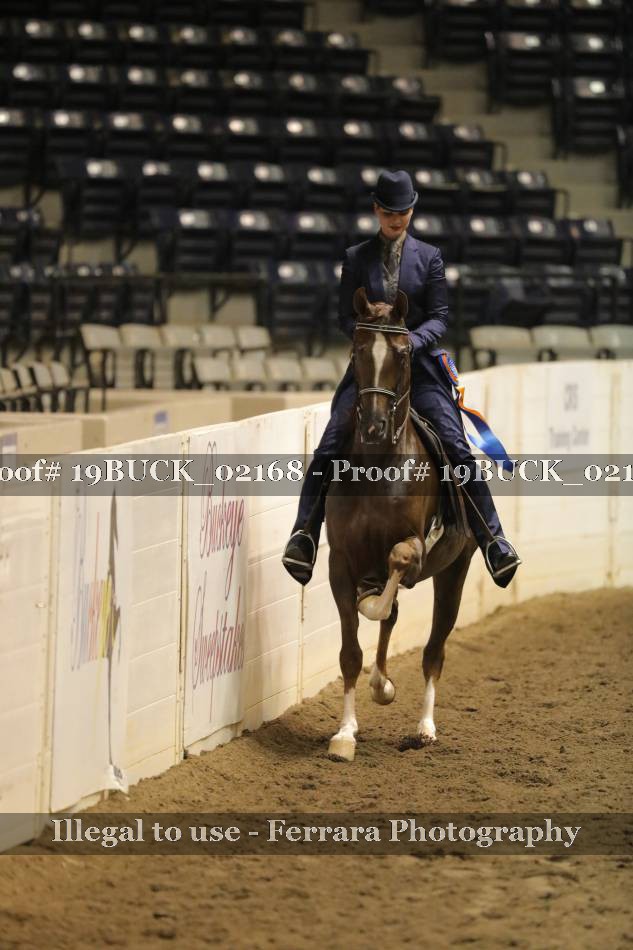 Proof 19BUCK_02168