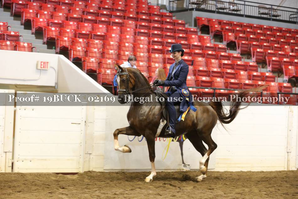 Proof 19BUCK_02169