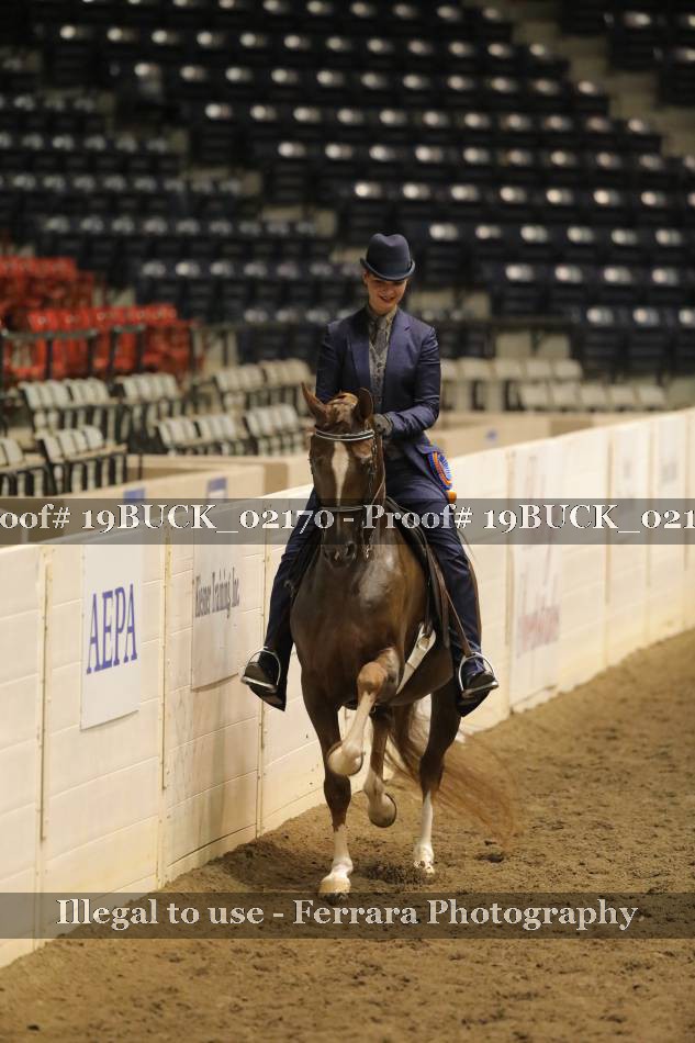 Proof 19BUCK_02170