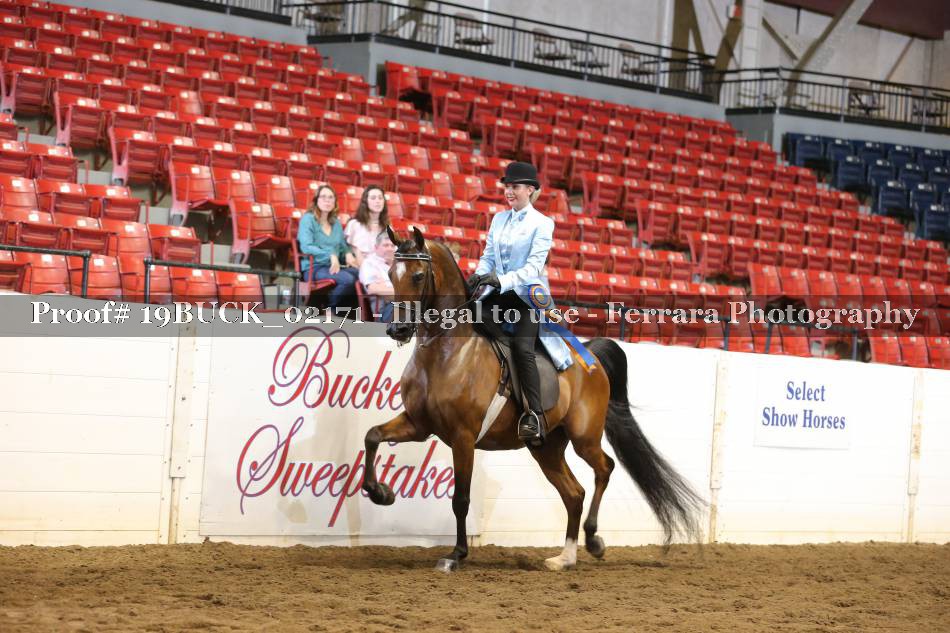 Proof 19BUCK_02171