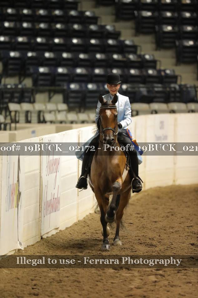Proof 19BUCK_02172
