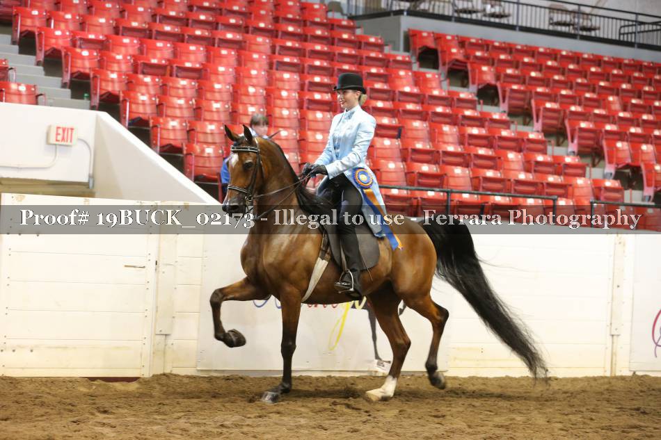 Proof 19BUCK_02173