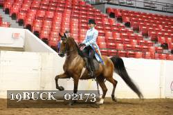 19BUCK_02173 proof