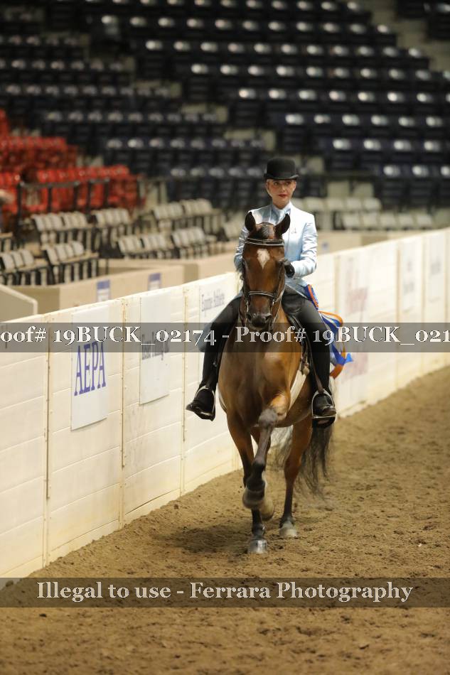 Proof 19BUCK_02174