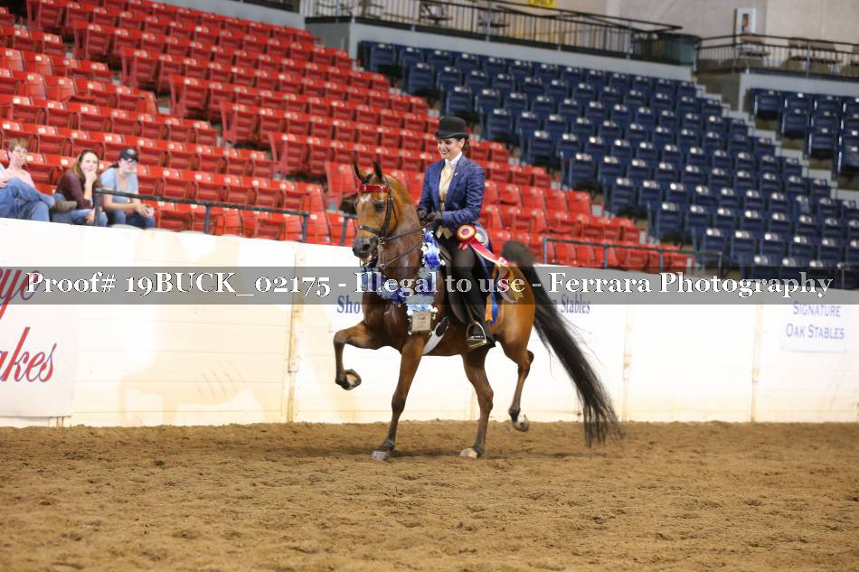 Proof 19BUCK_02175