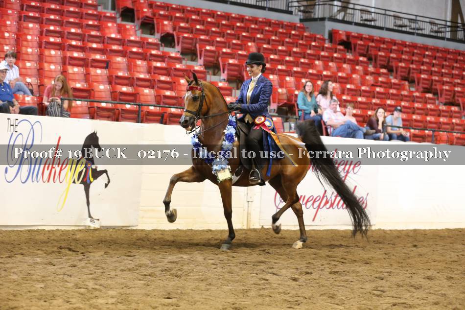 Proof 19BUCK_02176