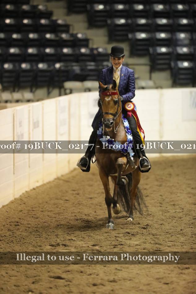 Proof 19BUCK_02177
