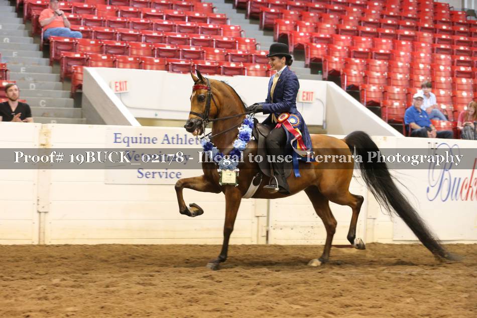 Proof 19BUCK_02178