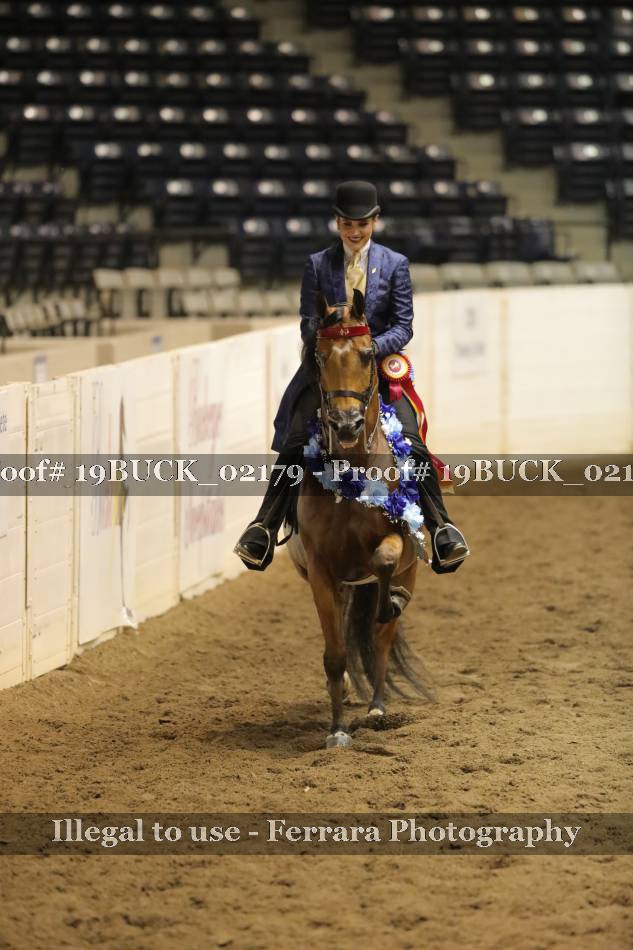 Proof 19BUCK_02179