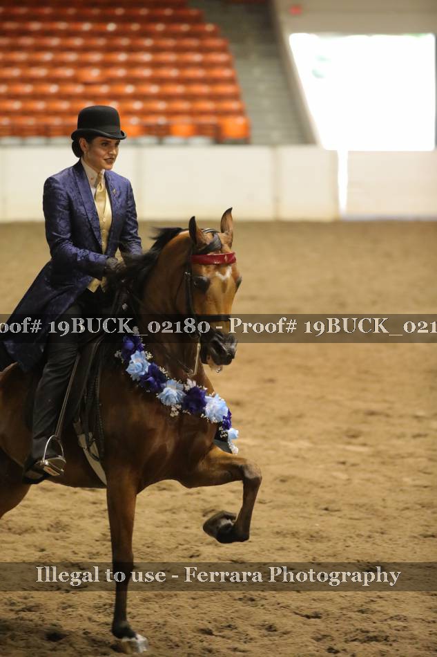 Proof 19BUCK_02180