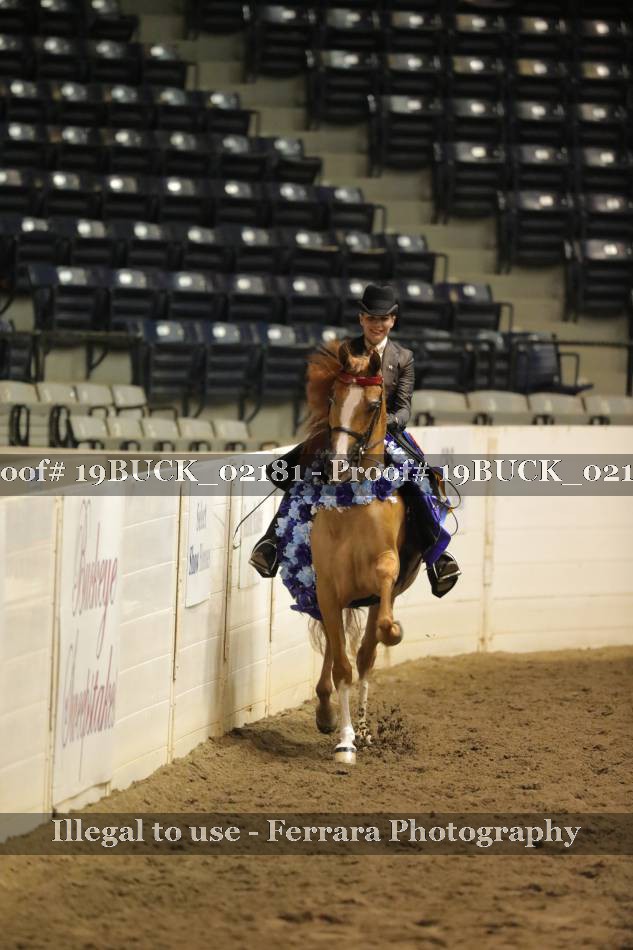Proof 19BUCK_02181