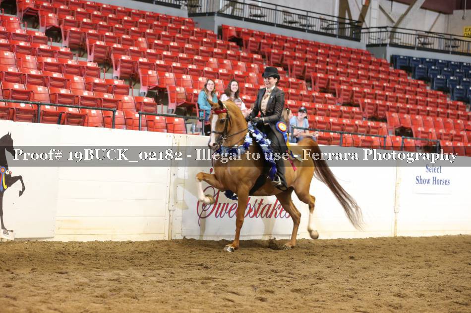 Proof 19BUCK_02182