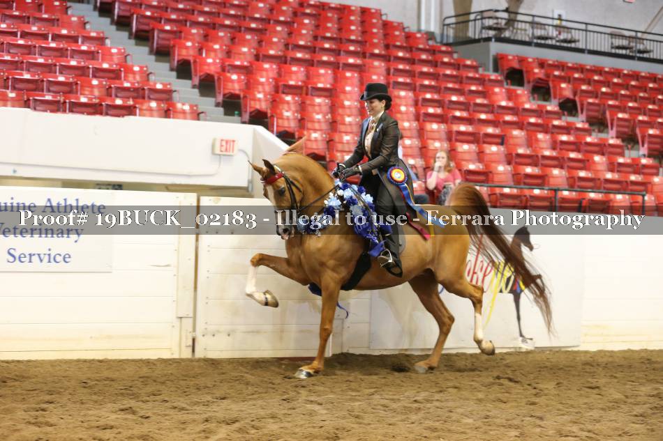 Proof 19BUCK_02183