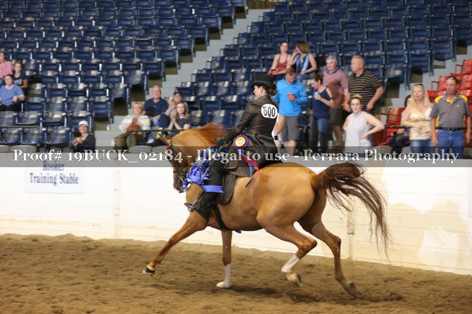 Proof 19BUCK_02184