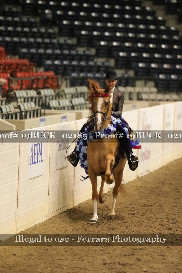 Proof 19BUCK_02185