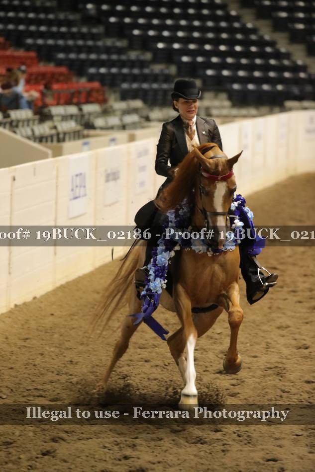 Proof 19BUCK_02186