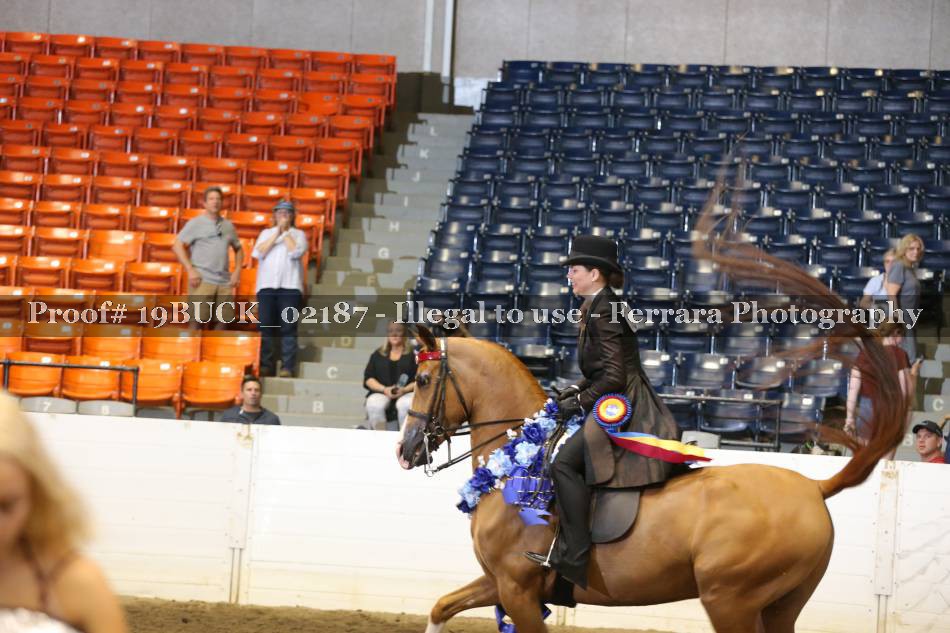 Proof 19BUCK_02187