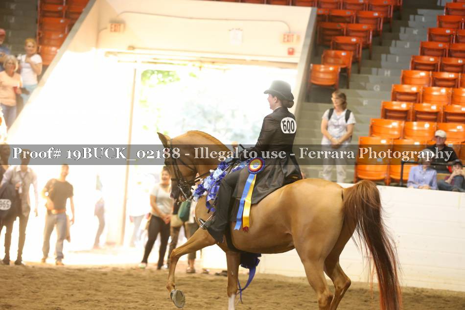 Proof 19BUCK_02188
