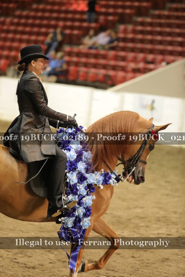 Proof 19BUCK_02189