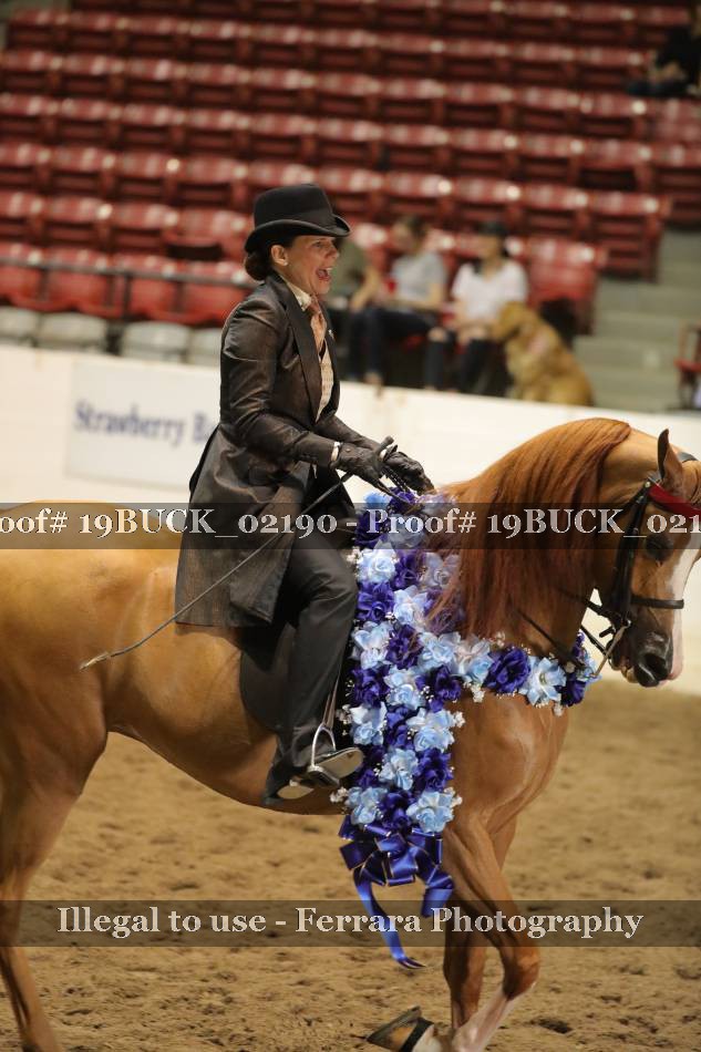 Proof 19BUCK_02190