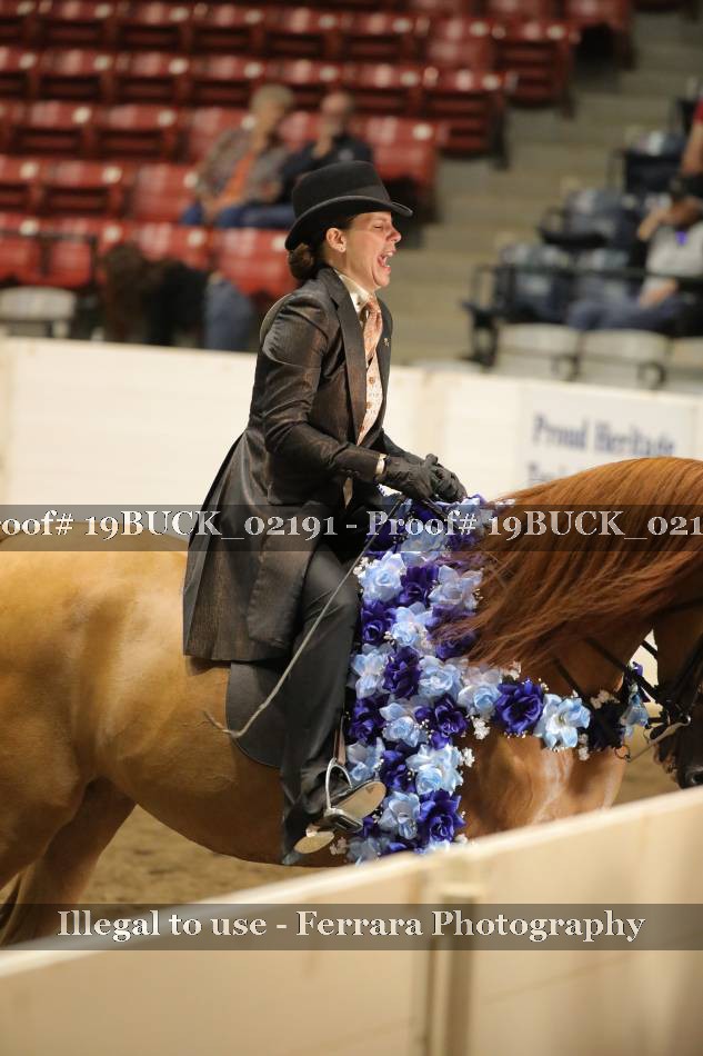 Proof 19BUCK_02191