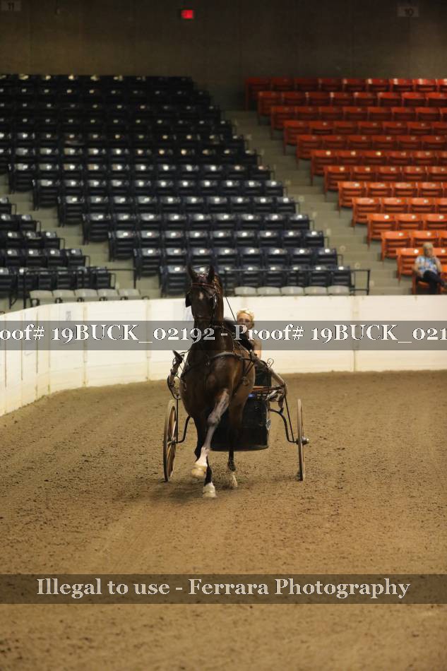 Proof 19BUCK_02192