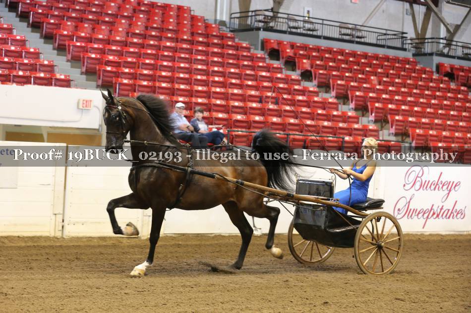Proof 19BUCK_02193