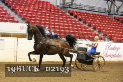 19BUCK_02193 proof