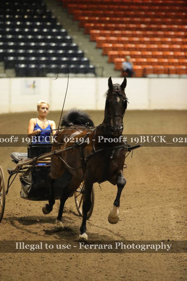 Proof 19BUCK_02194