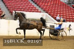 19BUCK_02197 proof