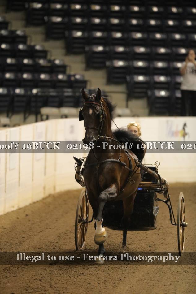 Proof 19BUCK_02198