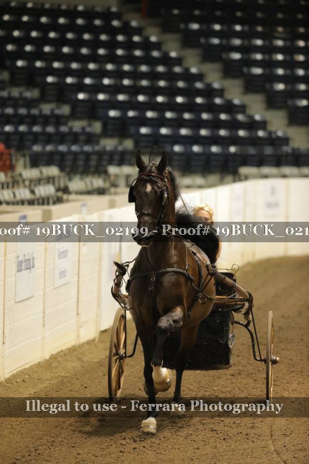 Proof 19BUCK_02199
