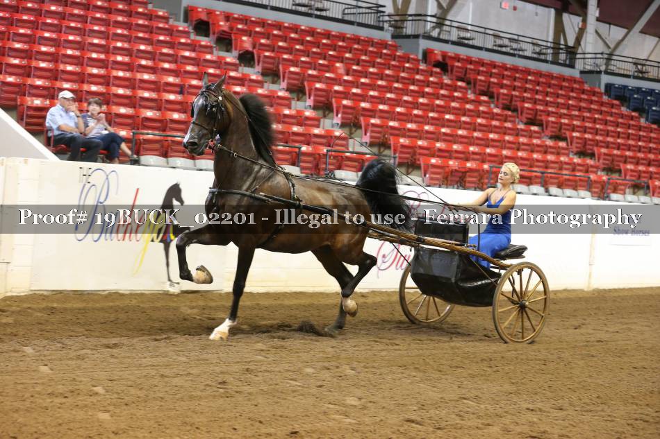 Proof 19BUCK_02201