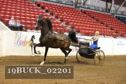 19BUCK_02201 proof