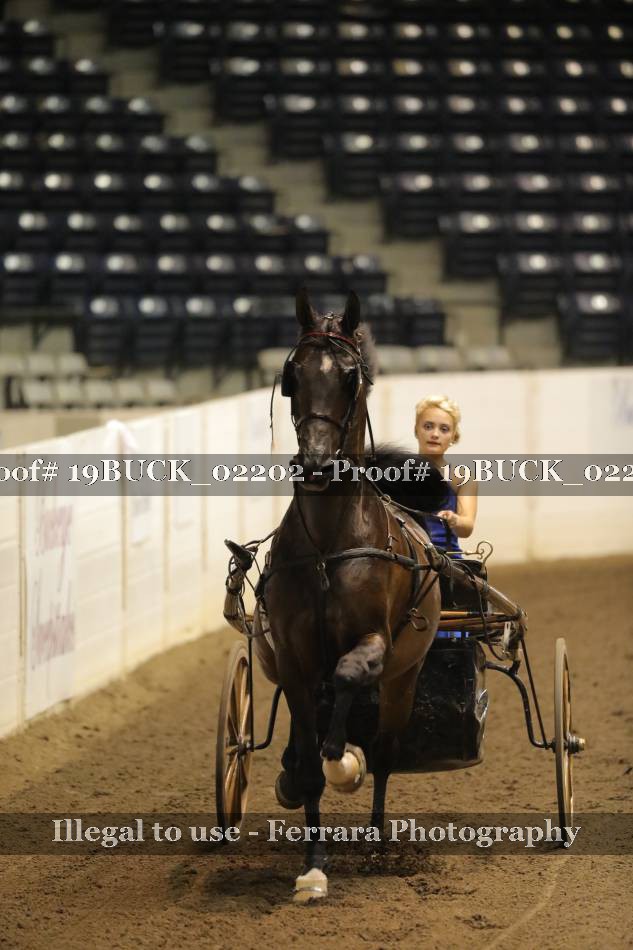 Proof 19BUCK_02202