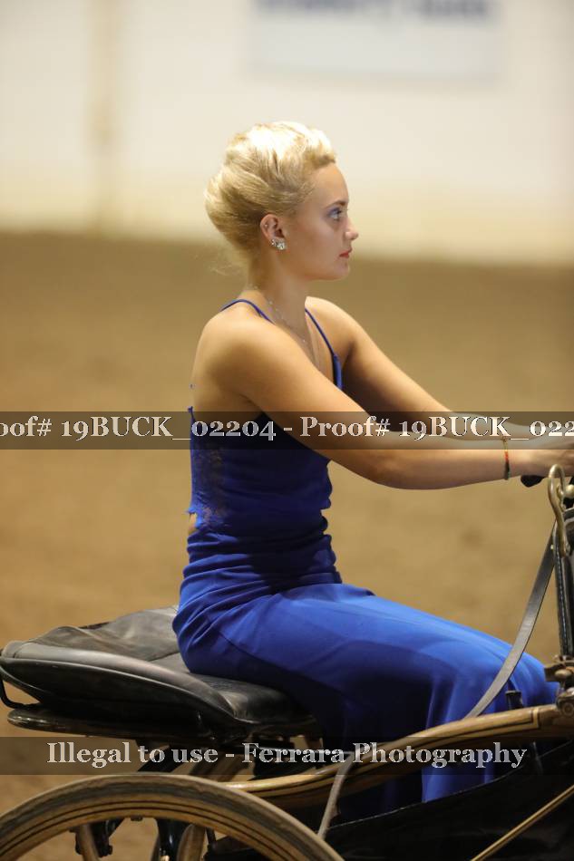 Proof 19BUCK_02204