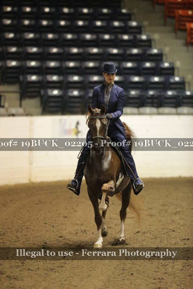 Proof 19BUCK_02205
