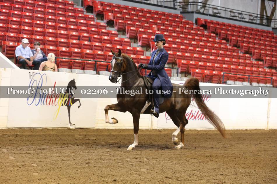 Proof 19BUCK_02206