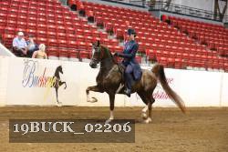 19BUCK_02206 proof