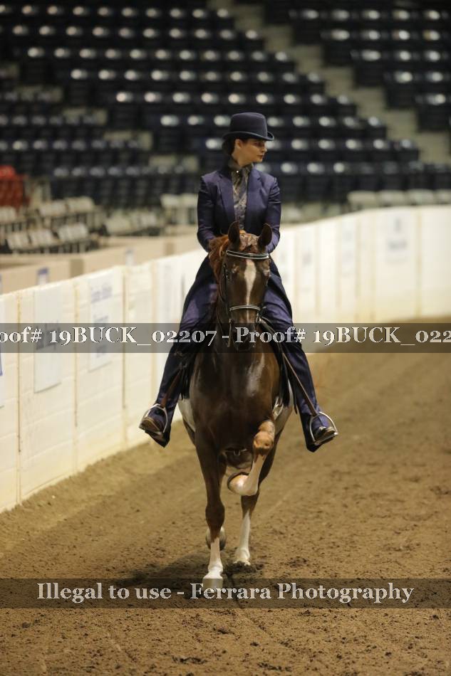 Proof 19BUCK_02207