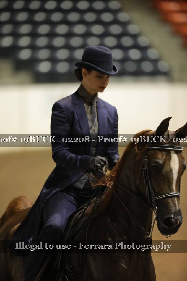 Proof 19BUCK_02208