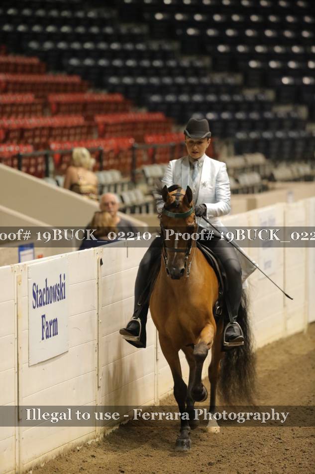 Proof 19BUCK_02210