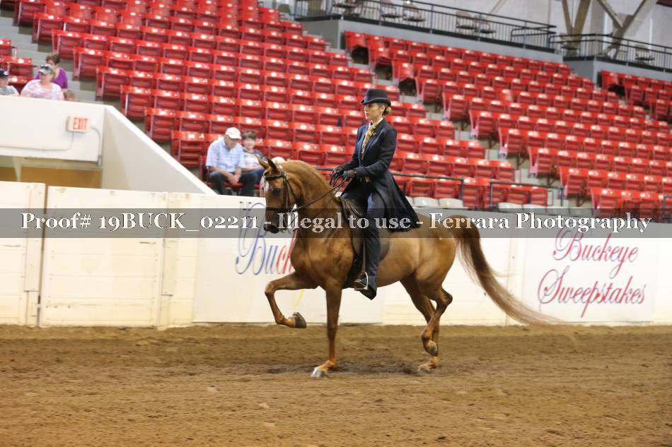 Proof 19BUCK_02211