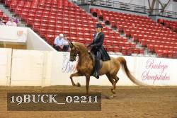 19BUCK_02211 proof