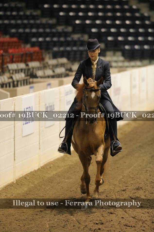 Proof 19BUCK_02212
