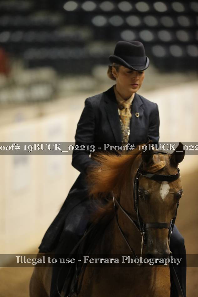 Proof 19BUCK_02213