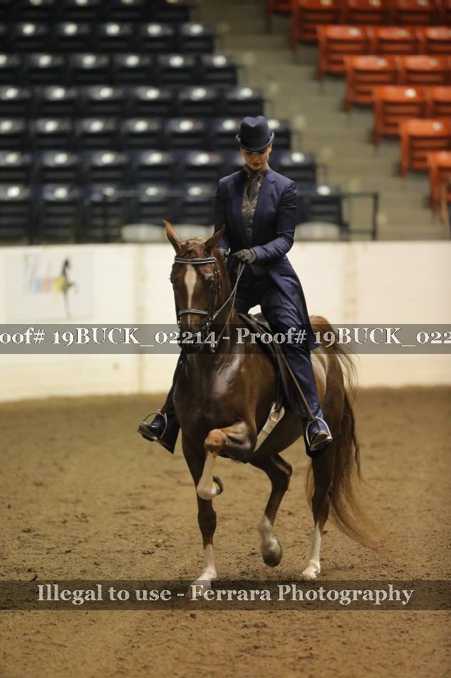 Proof 19BUCK_02214