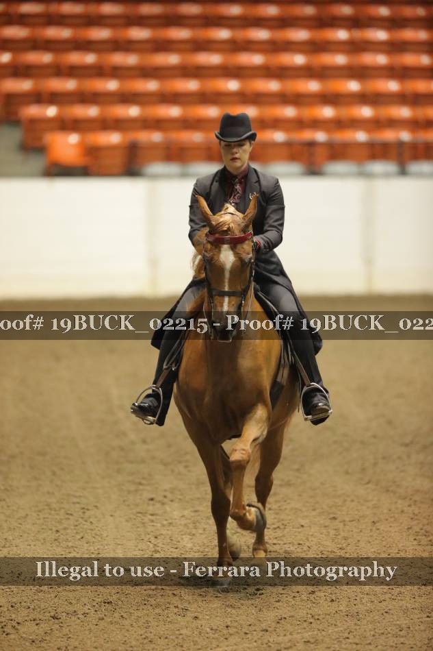 Proof 19BUCK_02215