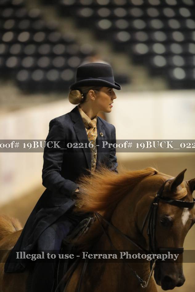Proof 19BUCK_02216
