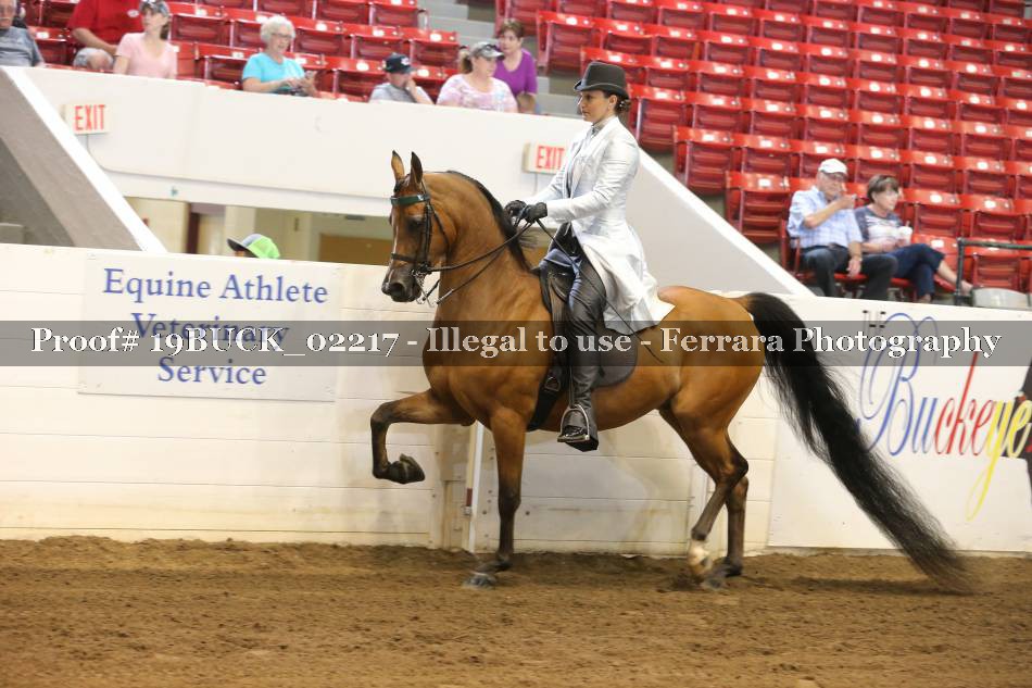 Proof 19BUCK_02217